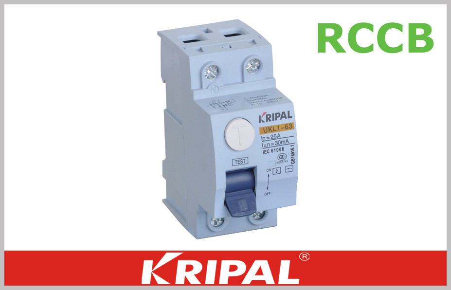 Socket With Rccb Residual Current Device Mini Circuit Breaker 2 Pole RCCB 16A 25A 40A 63A